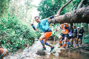 BIB: 
                            <button type="button" onclick="openModal(25372404)" class="btn btn-primary btn-sm float-right btn-popup" data-toggle="modal" data-target=".modal-high-quality">
                        <i class="fas fa-shopping-cart"></i> Add to Cart
                    </button>
                                            <button type="button" onclick="isThisMe(25372404, true)" class="btn btn-success btn-sm float-right btn-popup btn-isme hidden" data-toggle="tooltip" data-placement="bottom" title="นี่คือรูปของคุณใช่ไหม คลิกที่นี่เพื่อเอาเข้าอัลบั้ม">
                        <i class="fas fa-plus"></i> Add to album
                    </button>
                    <button type="button" onclick="isThisMe(25372404, false)" class="btn btn-warning btn-sm float-right btn-popup btn-isnotme hidden">
                        <i class="fas fa-ban"></i> Remove from album
                    </button>